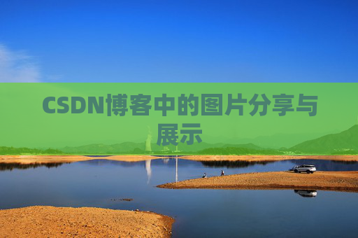 CSDN博客中的图片分享与展示